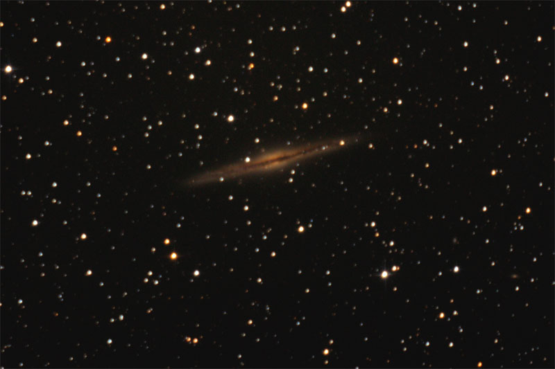 thumb_1256245509_ngc891_klein.jpg